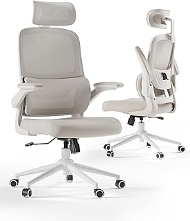 Hbada P102 Silla ergonomica Escritorio, Silla de Oficina Grande y Alta con reposabrazos Plegables, Soporte Lumbar Ajustable Silla Escritorio, Silla Oficina ergonómica para Uso doméstico - Gray