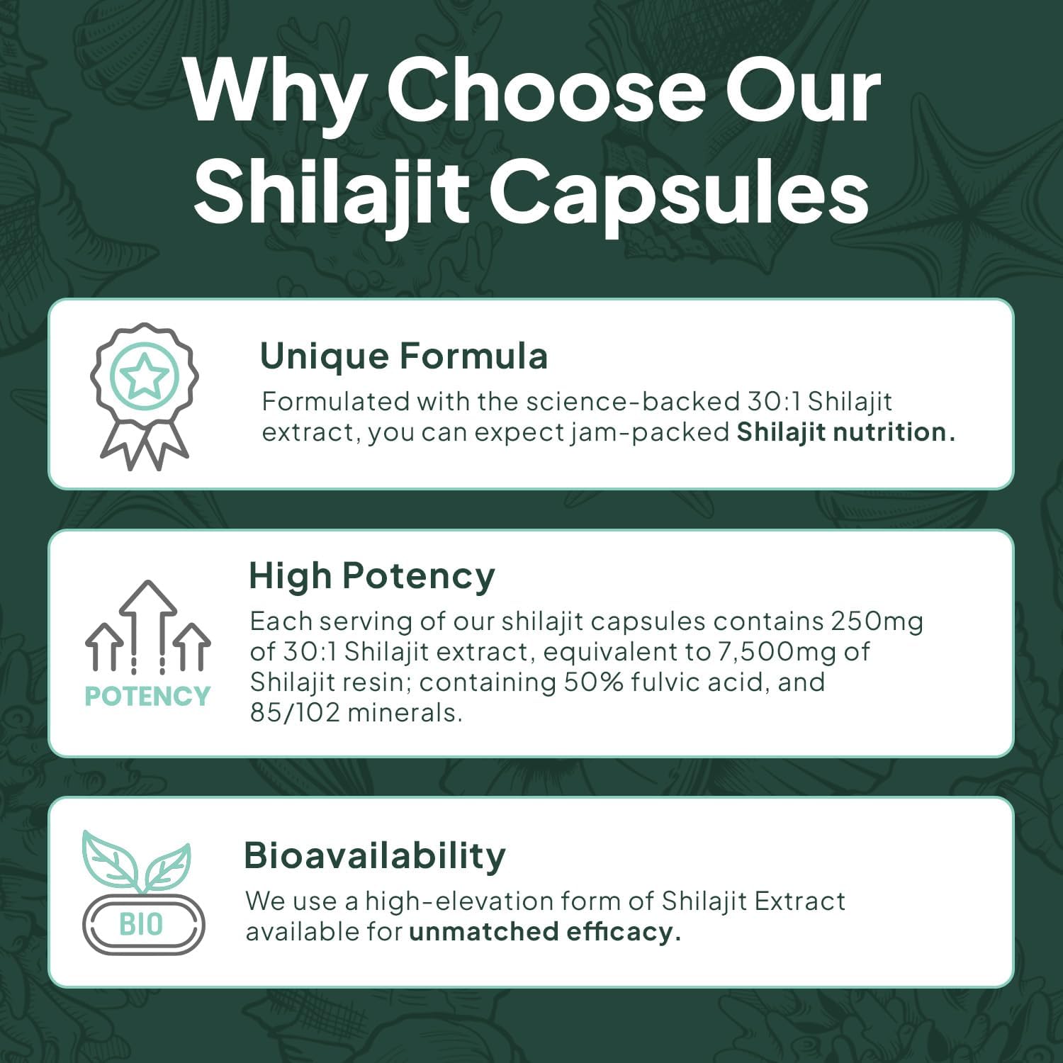Organics Ocean One-Per-Day Shilajit for Men and Women - Natural Shilajit Supplement for Age-Defying, Bone Strength, Hormone Support and More - 30 Shilajit Capsules - Image 5