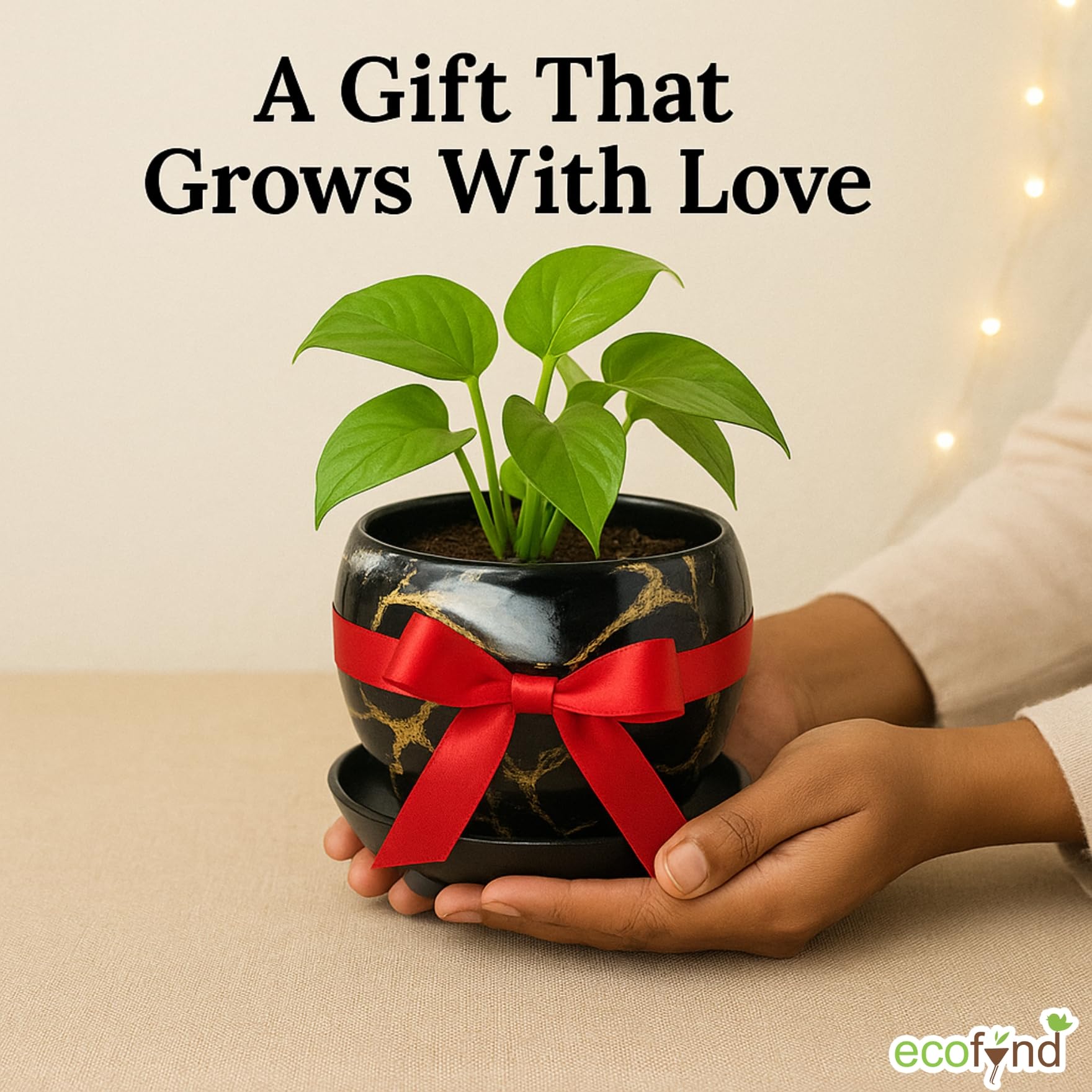 ecofynd Lily Black Metal Plant Pot - Indoor Outdoor -4