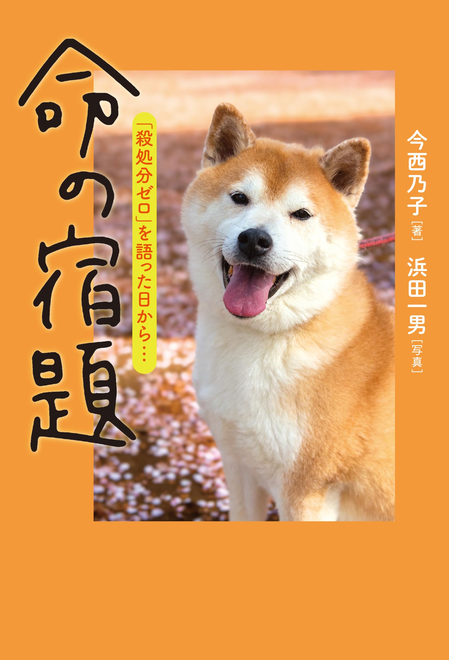 Amazon.co.jp: 命の宿題──「殺処分ゼロ」を語った日から