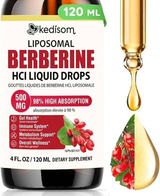 Suppléments berbères 500mg - Soutient les lipides sains (fat), les taux de sucre dans le sang & Glucose Métabolisme - Berbérine liquide de haute puissance - Une tierce partie testée pour son pouvoir & Pureté - Qualité assurée 120 ML