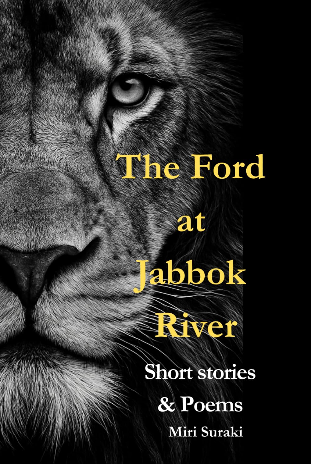The Ford at Jabbok River: Short Stories and Poems