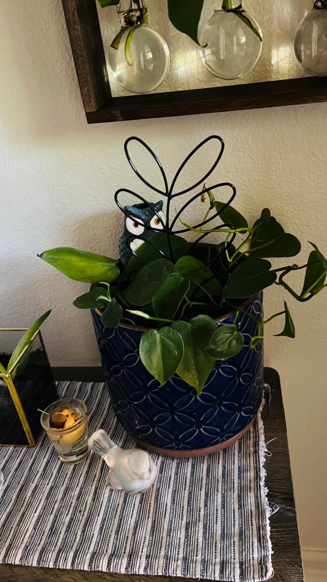 1/mo Finance 2 Pcs Trellis for Climbing Plants Indoor 12 Inch Small