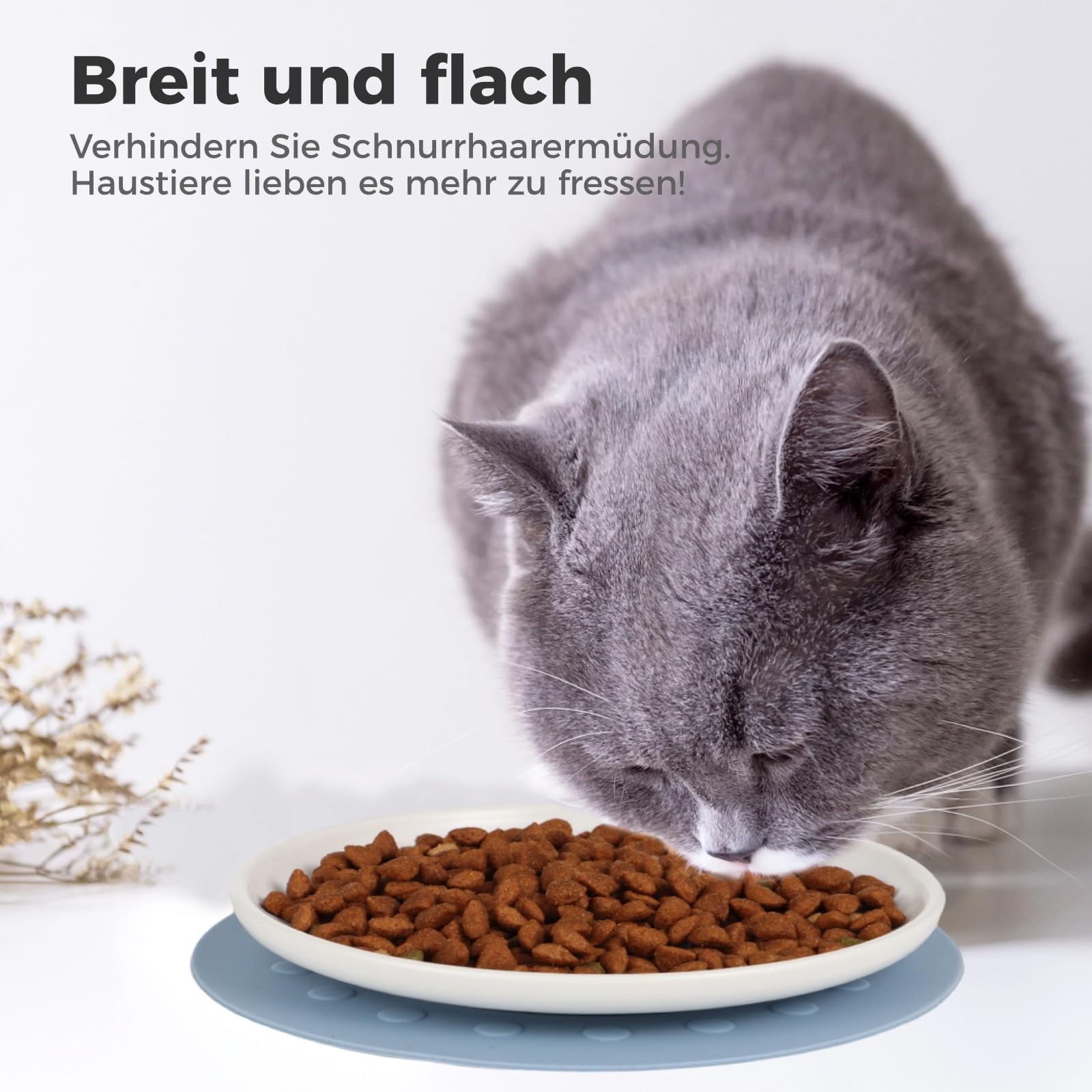 Fhiny Katzennapf Mit Schnurrhaar-Schutz – Flach, 15,2 Cm, Weizenstroh, Für Nass- & Trockenfutter