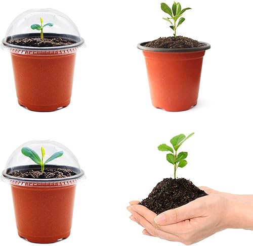 Miniatura 7 de QPEY Macetas de vivero con cúpulas de humedad, 30 juegos de macetas transparentes y suaves de 4 pulgadas, recipientes de plástico para plantas,