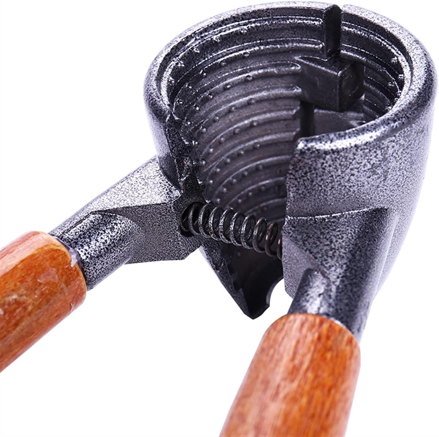 Nutcracker Walnut Cracker Tool Crack Almond Pecan Hazelnut Hazel Filbert Nut Kitchen Nutcracker Shell Clip Tool Clamp Plier Walnut Nipper