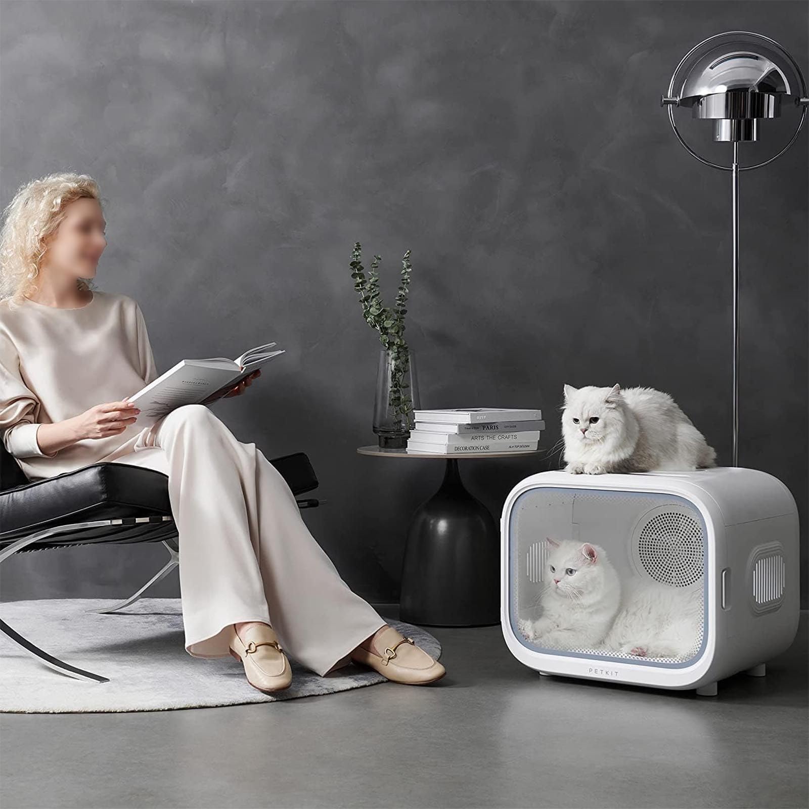 Secador automático para Mascotas para Gatos y Perros pequeños, Caja Secadora para Mascotas Ultra silenciosa con Control de Temperatura y Tiempo Ajustable