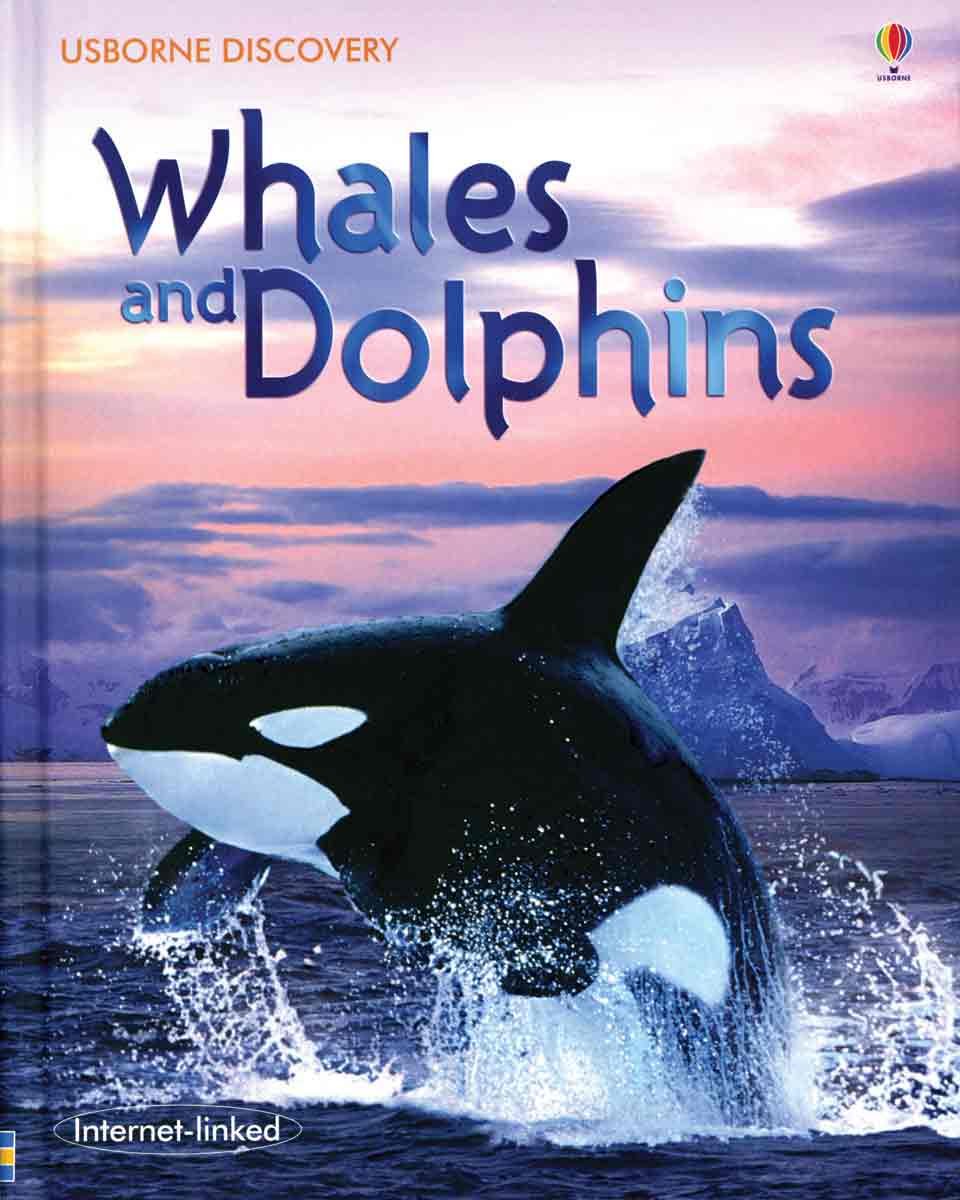 Whales and Dolphins (Usborne Discovery)
