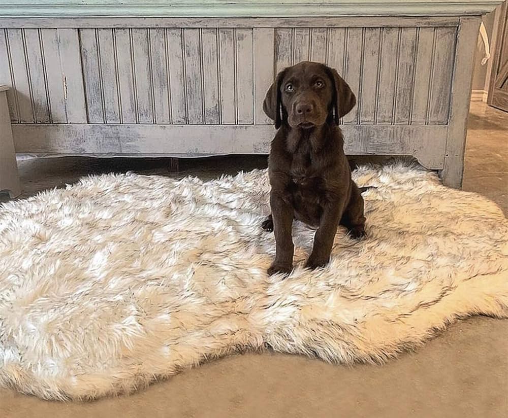 dog indoor kennel ideas