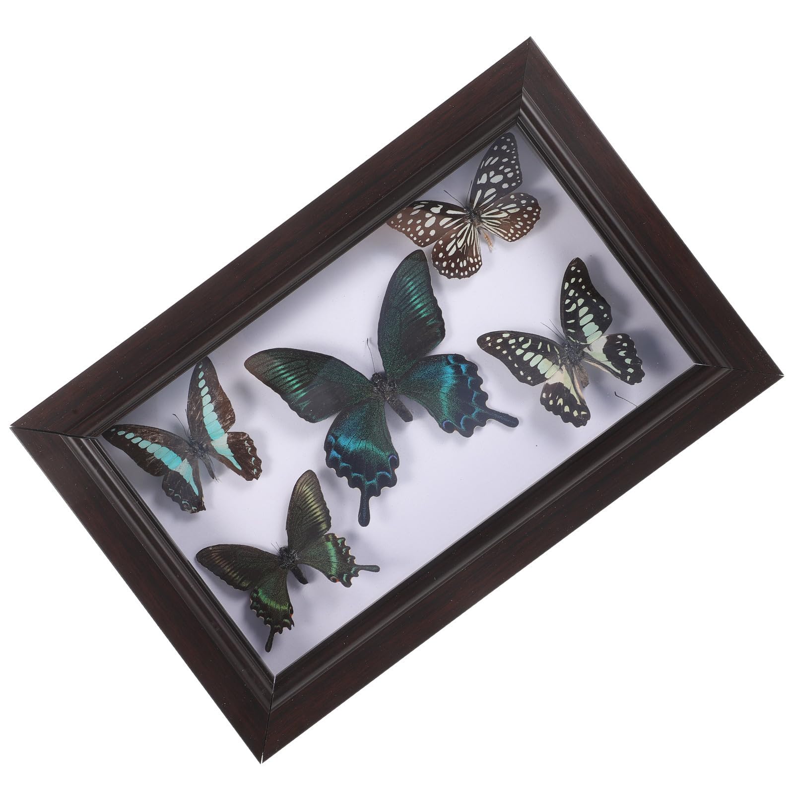 LABRIMP Ejemplar de Mariposas en Marco de Madera para Decoración del Hogar con Estructura Resistente y Diseño Exquisito para Colgar Pared o Exhibir en Escritorio