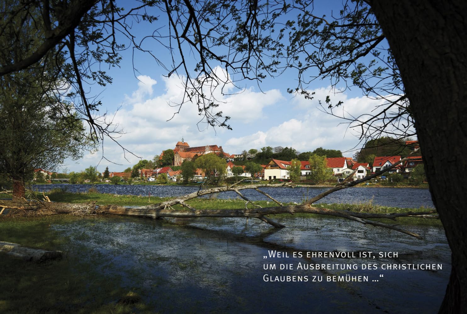 Der Dom zu Havelberg (Veröffentlichungen der Stiftung Dome und Schlösser in Sachsen-Anhalt)