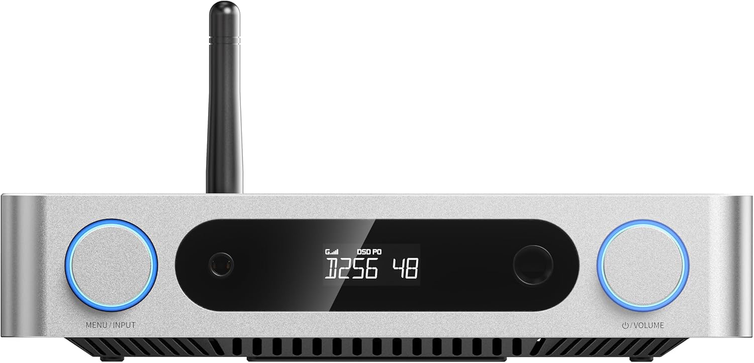 FiiO K13 R2R Desktop DAC & Headphone Amp, High-Fidelity 24Bit R2R DAC, Powerful 2400mW Output, LDAC Bluetooth Streaming, Dual Power Supply, 10-Band PEQ, Balanced XLR & RCA Audio Output (Silver) - 2