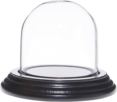 Plymor Cúpula de cristal pequeña de 2.5 x 2.5 pulgadas (base de chapa de madera negra)