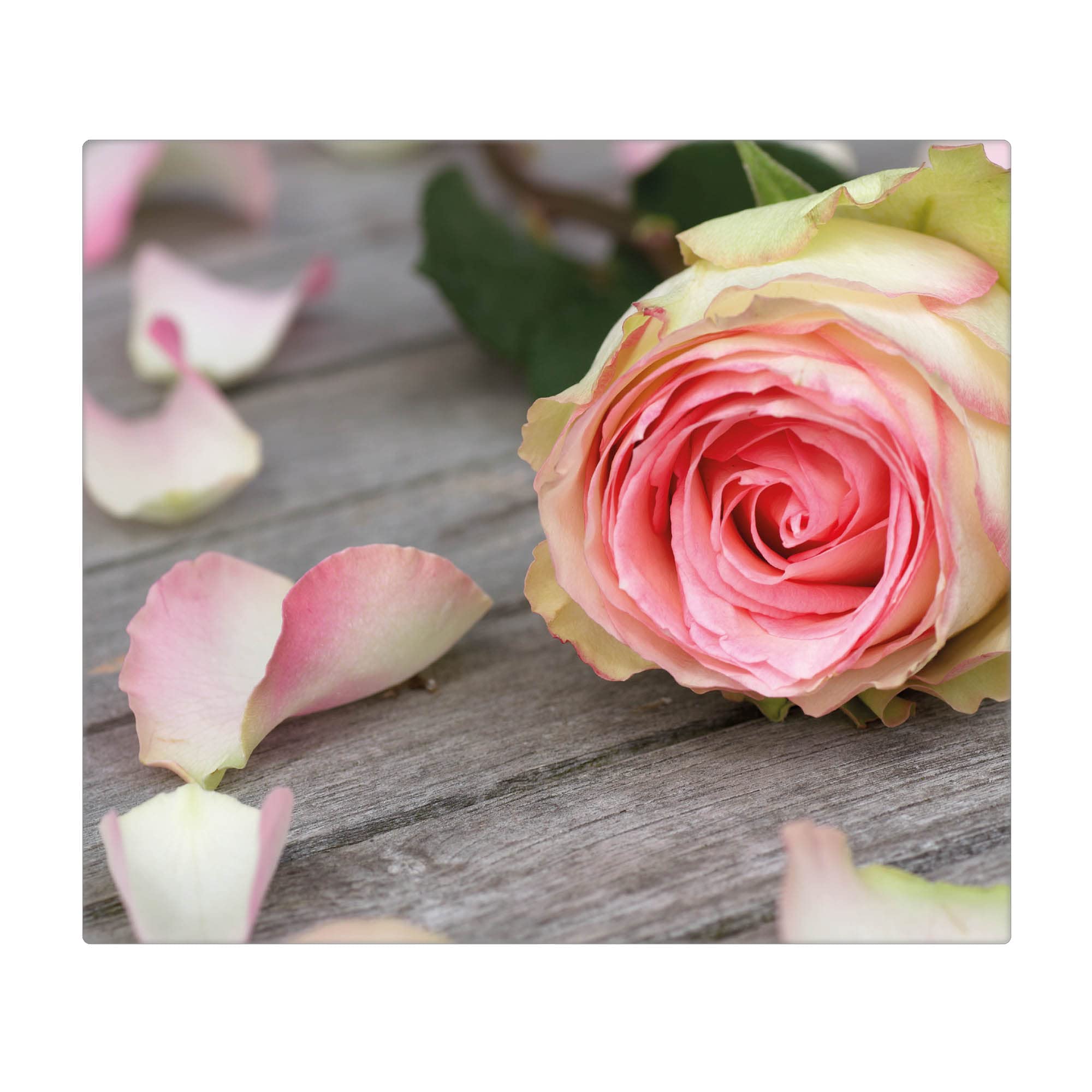 banjado Kochfeldabdeckung Glas mit Blumen und Pflanzen Design frisch 60x52 cm einteilig, hitzebeständige Herdabdeckplatte mit Gumminoppen, Schneidebrett für Küche und Ceranfeld, mit Motiv Rosa Rose