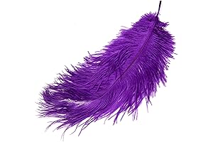 Sex Feather Ticklers Teasers