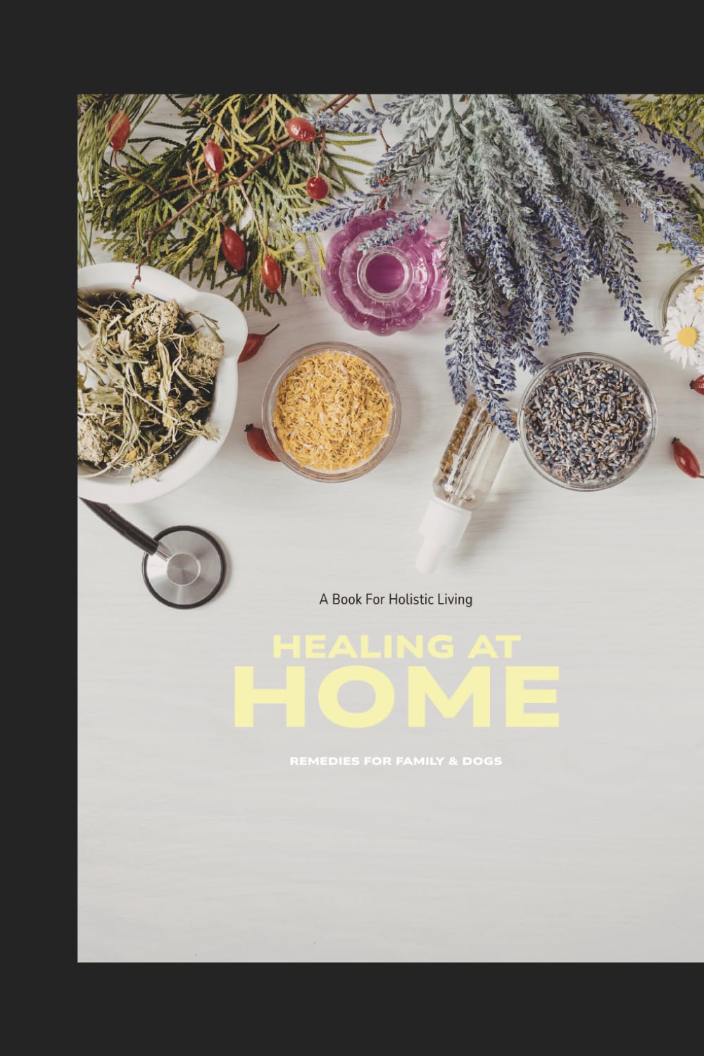 Healing At Home: The Holistic Family Remedy Guide (Raising Family Naturally)