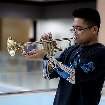 Amazon.co.jp: YDZBA Bb B Flat トランペット 真鍮製 金メッキ仕上 げ