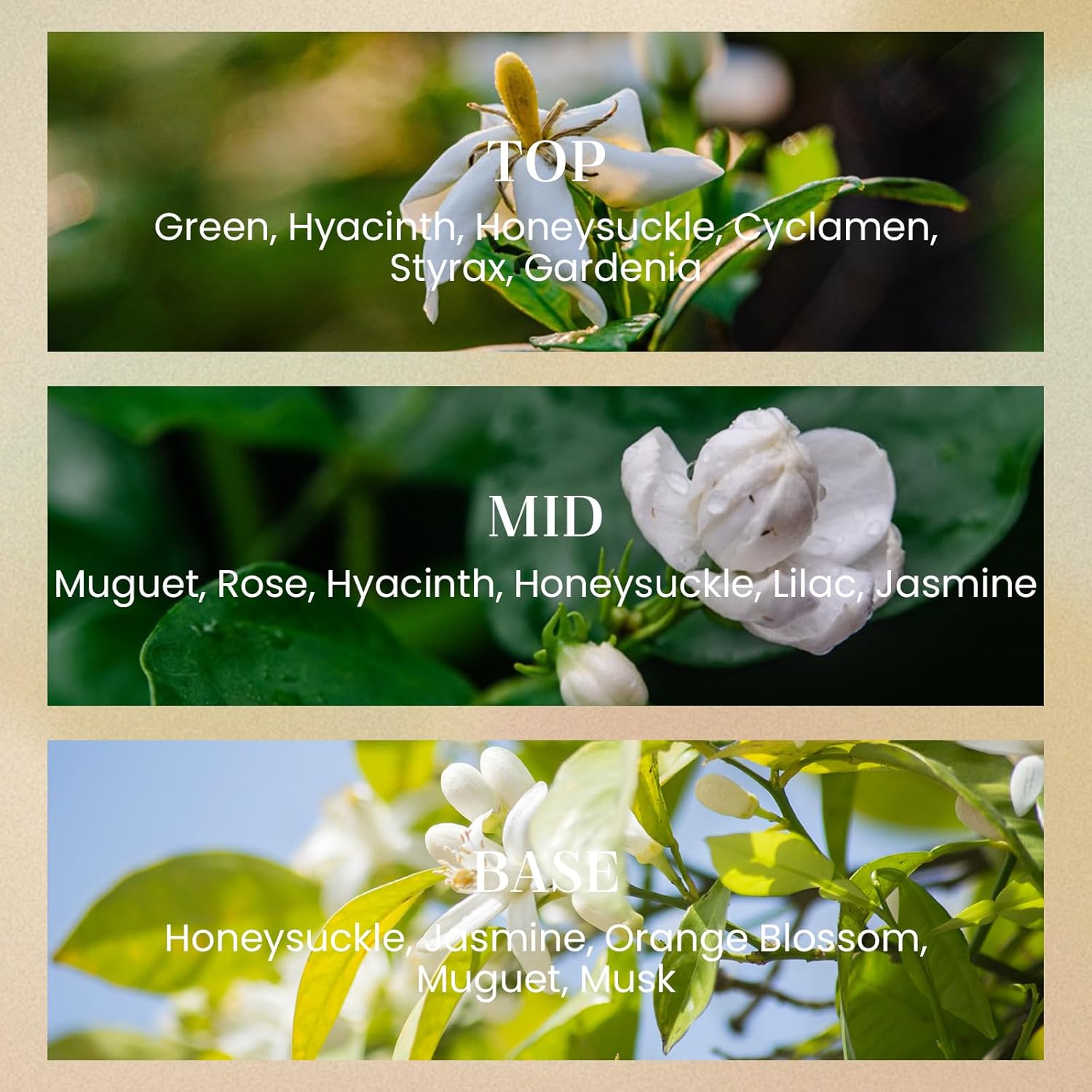 M&SENSE White Gardenia Candles for Home Scented, 2 Wick 12.7oz Soy Wax Candles Non Toxic,70 Hours Long Burning,Christmas Candles Gift for Stress Relief, Meditation, Yoga - Image 5