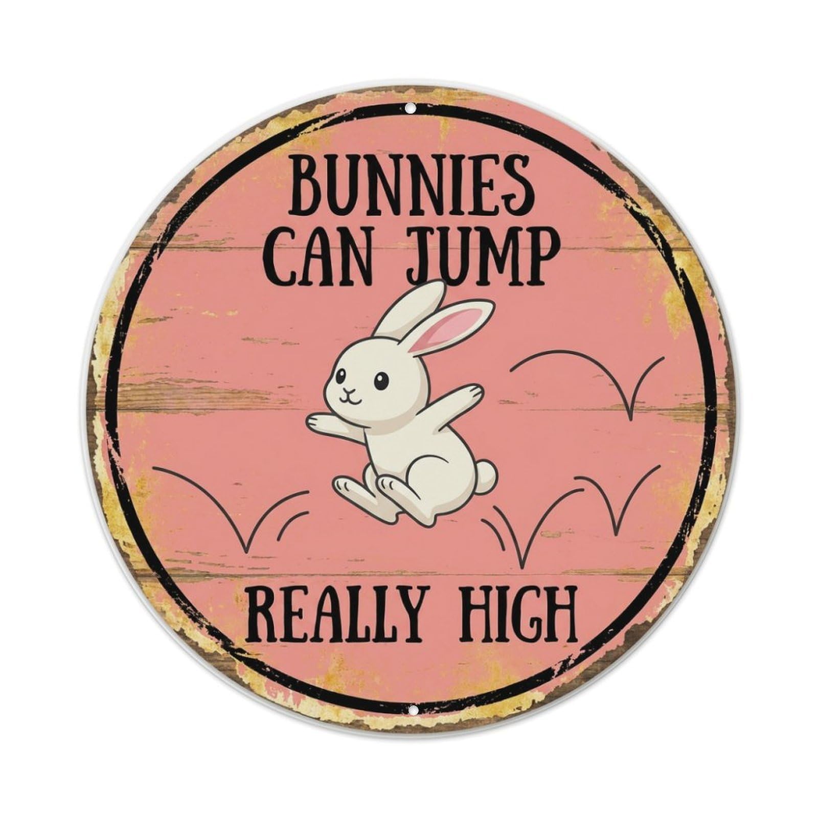 Fqcyn Style Bunny Jumping Expert Round Wall Hanging Metal Tin Sign Plaque Wall Decor For Cafe, Club Bar, Office, Home Garden Round Metal Poster 8X8inch
