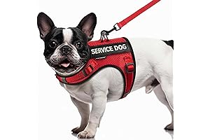 FAYOGOO Emotional Support Vest for Small Dogs