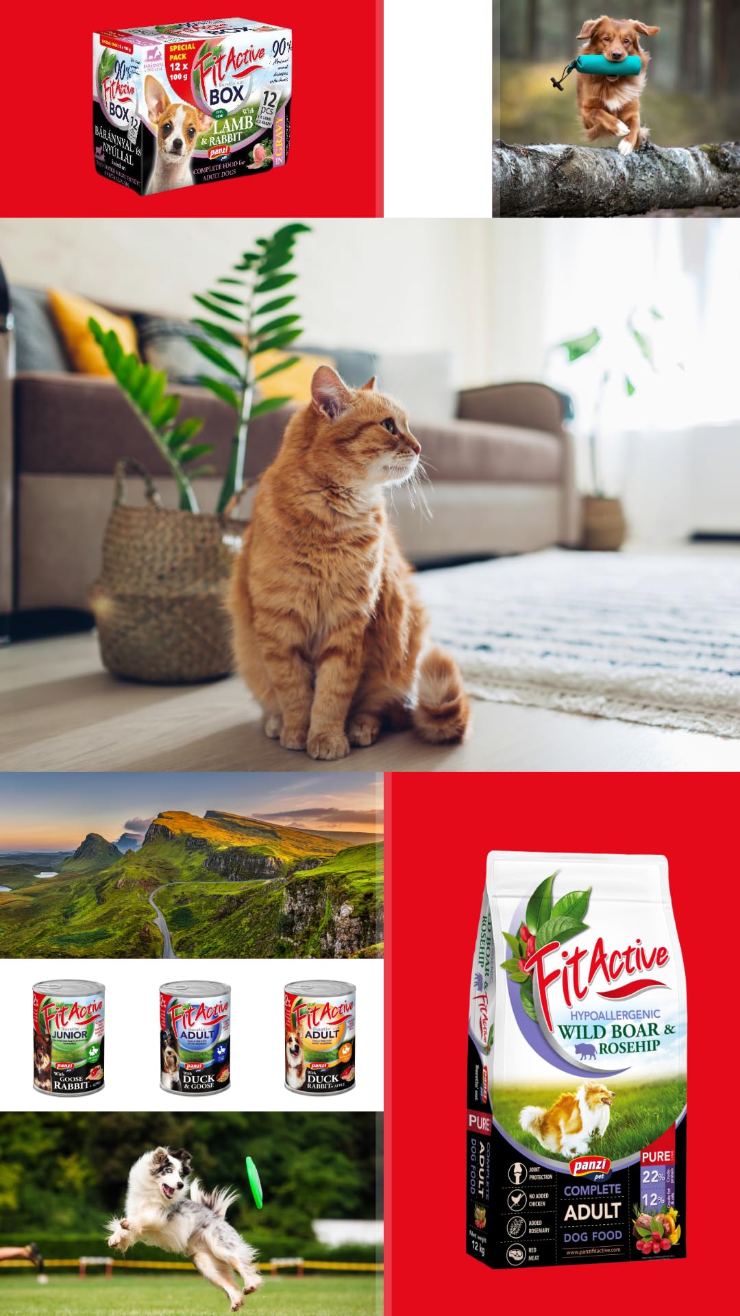 Panzi Pet Pure - Hipoalergiczna karma dla psów - Karma dla dorosłych psów - Formuła bez kurczaka, drobiu i pszenicy (12kg, wołowina)