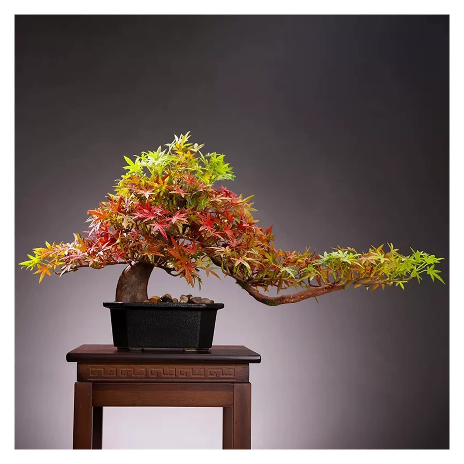 MYUYEE Tree Fake Plant Artificial Bonsai Tree Faux Maple Tree, Artificial Plants With Black Ceramics Pot, Feng Shui Decoration, For Living Room Office Patio Decor Potted Tree Artific(Colorful)