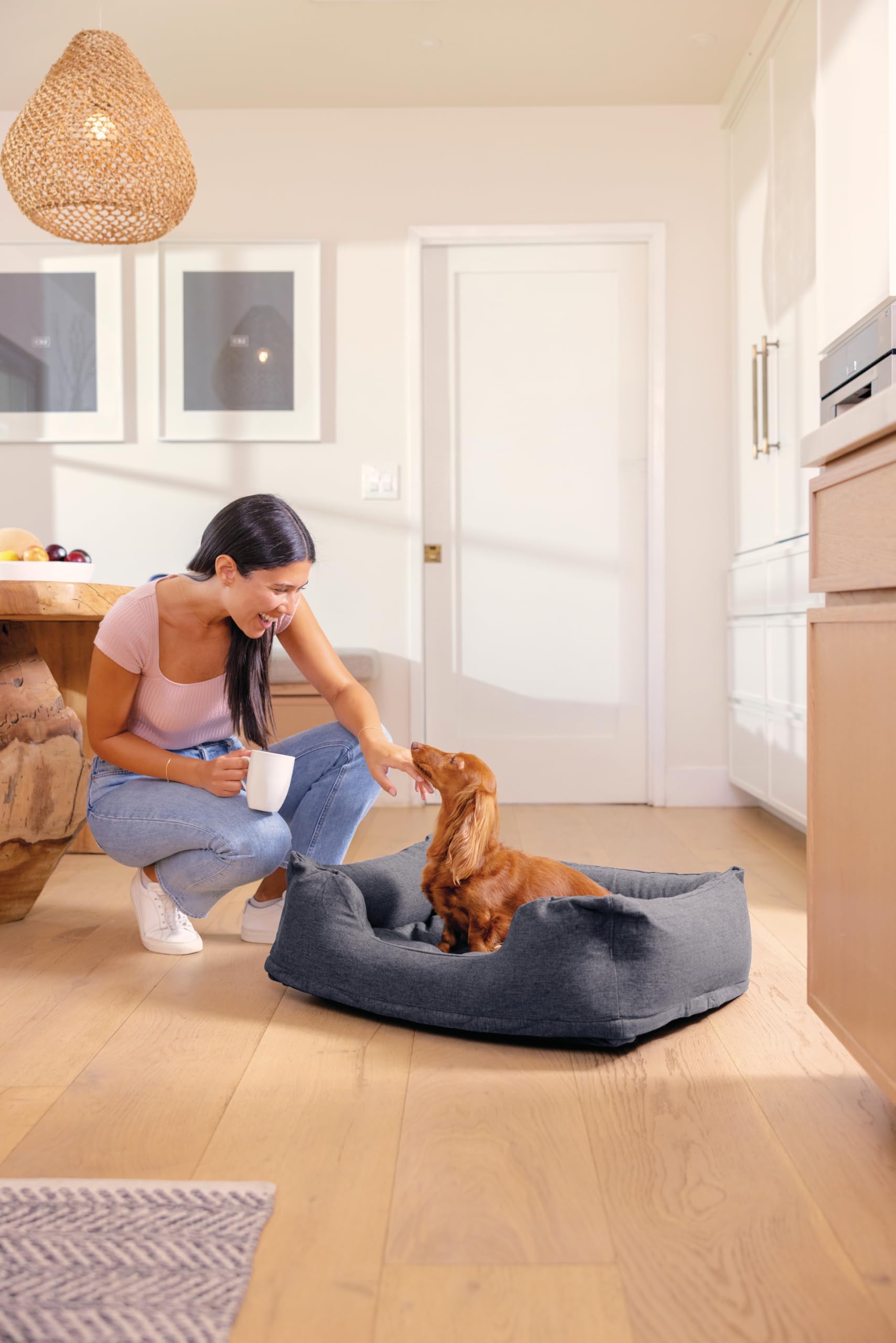 Intex 48701NP - Cuccia Gonfiabile per Cani Piccola, con Pompa Manuale