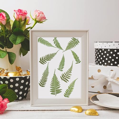 Miniatura 4 de Fabbay 200 piezas de flores secas prensadas, helechos naturales reales, hojas secas, vegetación seca para arreglos artísticos de resina, hogar,
