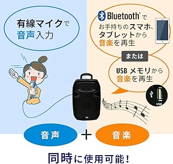 Amazon.co.jp: AUDIO NEXSUS 【Bluetooth内蔵、8インチスピーカー