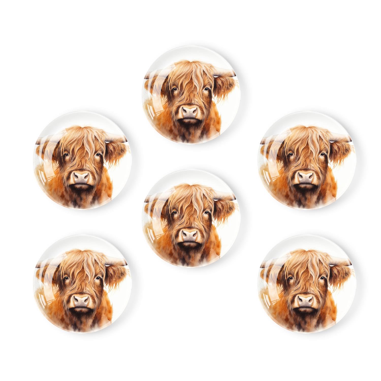 LAHASZIY 6 Pcs Glass Fridge Magnets, Cute Fridge Magnet Sticker, Heavy Duty,Watercolor Highland Cow Picture