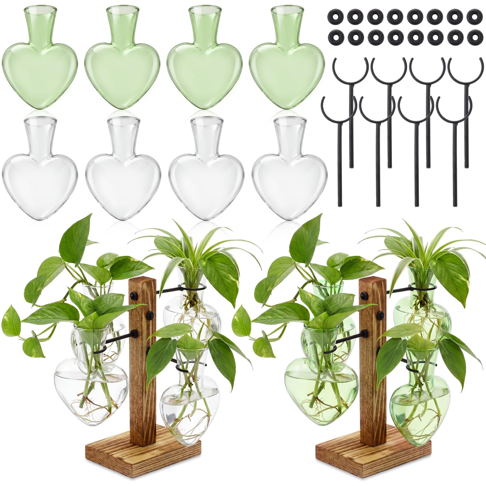 Terrarium hydroponique en verre et bois : centre de table de salon