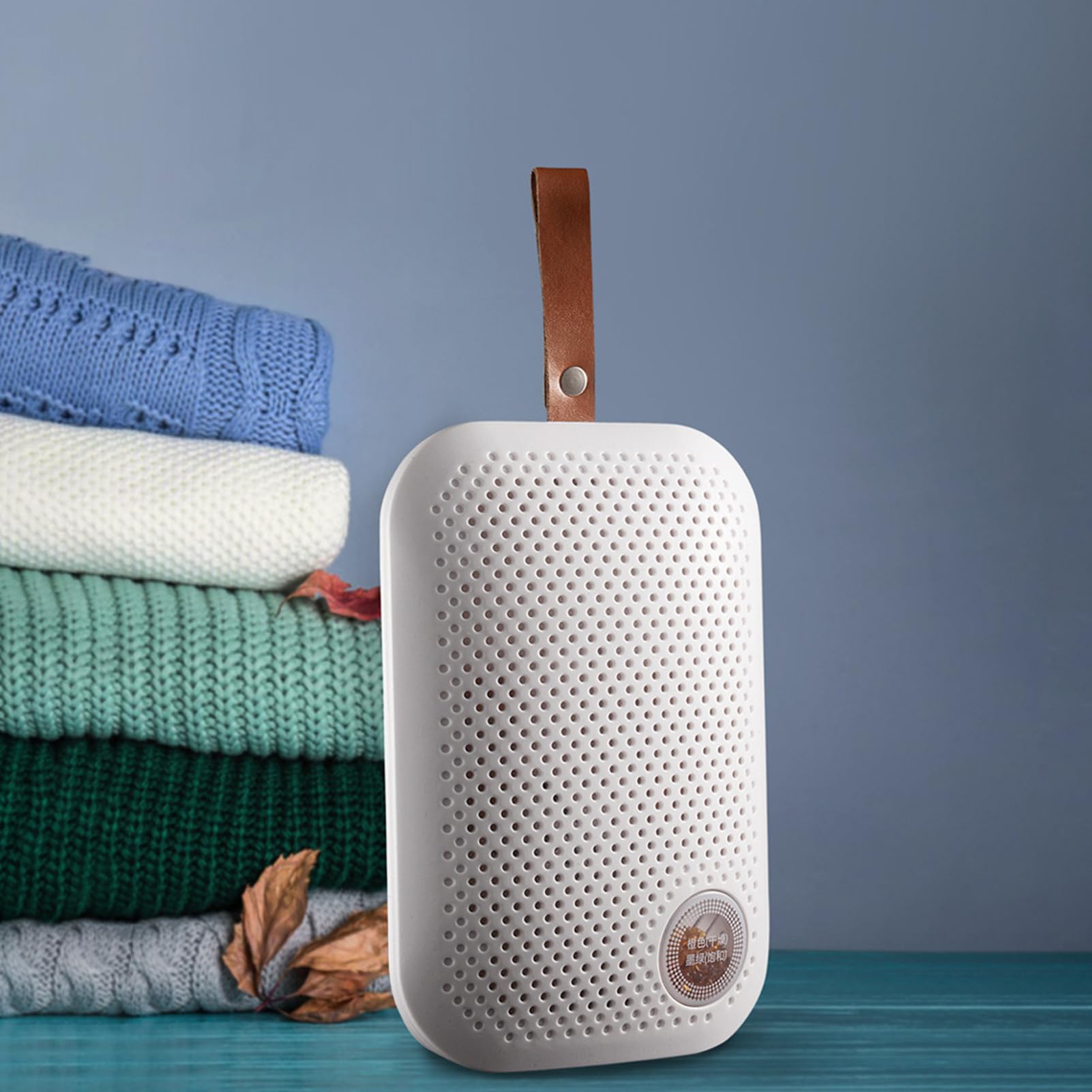 Deumidificatore per Bagno Assorbitore di Umidità | Portatile e Silenzioso con Cordoncino Per Casa Interni Camera da Soggiorno Armadio