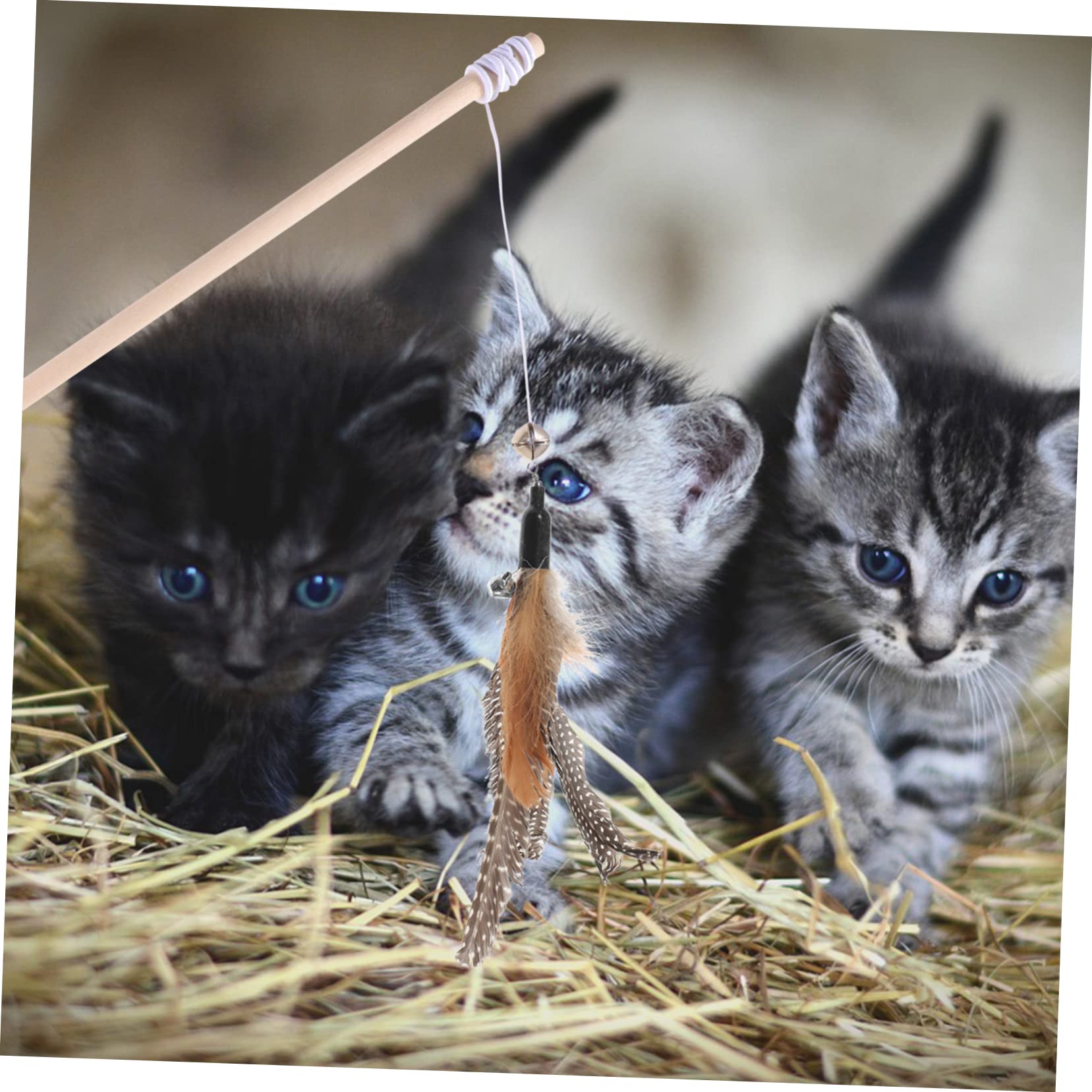 Happyyami Accessoires De Sport Pièces Recharge Chat Teaser Chaton Chasse Jouet Accessoires de de Portables Jouets de remplacements de de de pour Perle
