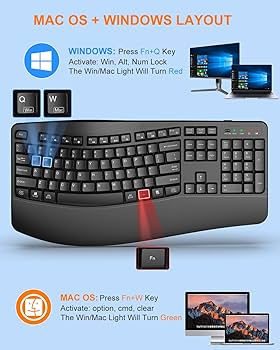 Amazon.com: EDJO Ergonomic Wireless Keyboard for Large Hands