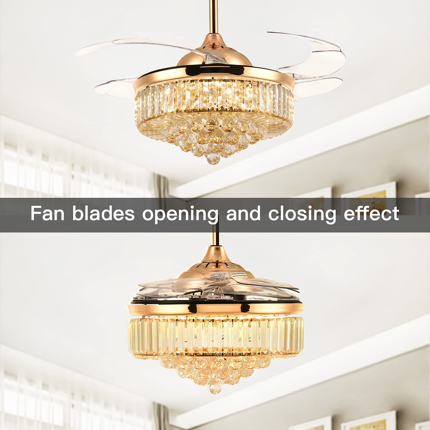https://m.media-amazon.com/images/I/712CleCQKhL.jpg