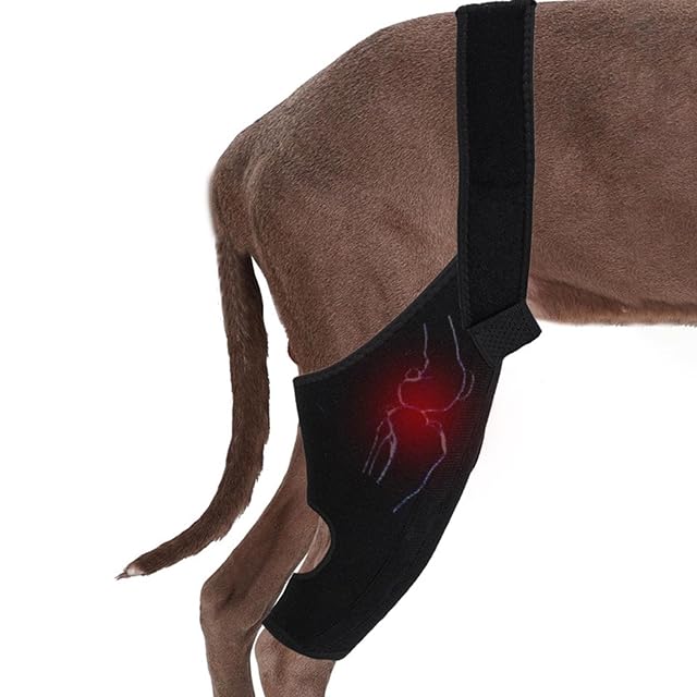 Teksome Cadera para Perro - Soporte para displasia Cadera para Perros,Cadera Pierna Trasera con Tira Metal…