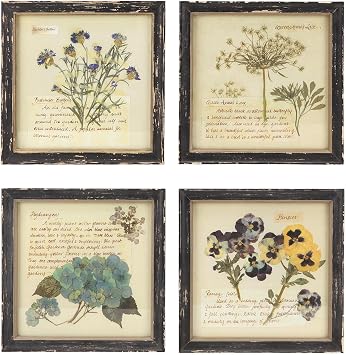 NIKKY HOME Botanical Wall Art Set of 4, Vintage Botanical Prints Wooden Framed Floral Plant Pictures Poster Decor for Bathroom Bedroom Living Room Office, 10x10 Inch