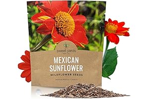 Tithonia Mexican Sunflower: Over 2,500 Flourishing Tithonia rotundifolia Wildflower Seeds