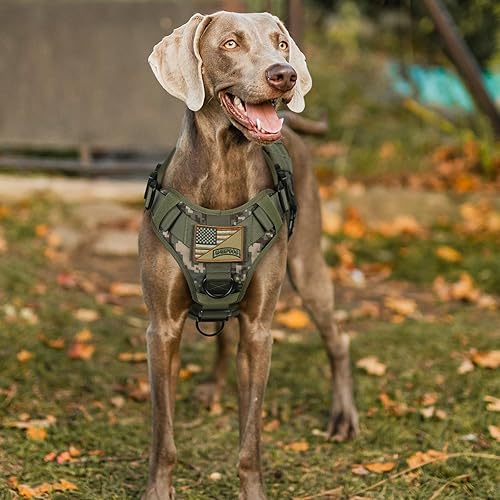 Miniatura 8 de rabbitgoo Arnés táctico para perros grandes, arnés resistente con asa, para perros de servicio sin tirones, para razas grandes, arnés de chaleco