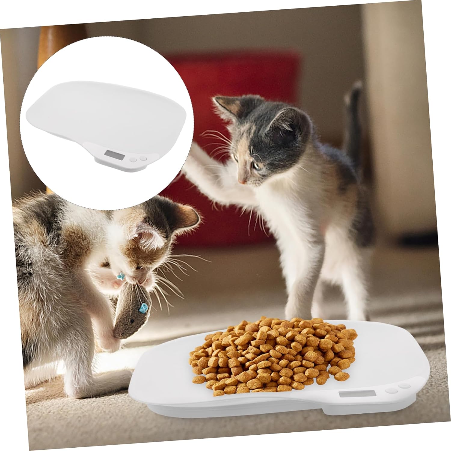Pet Scale Electronic Weighting Tool Led Digital Display for Cats Dogs Food Medicine Compact