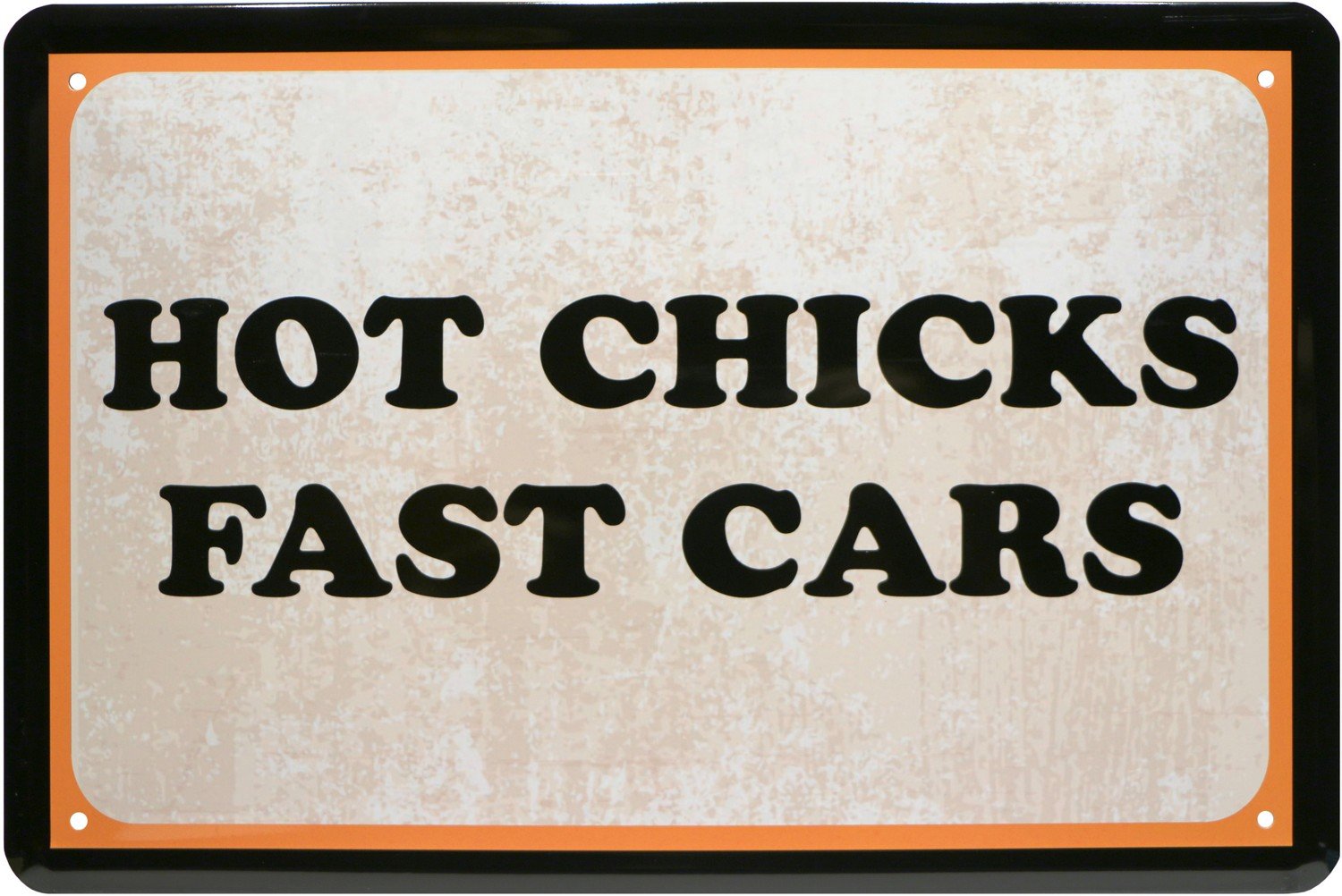 Hot Chicks Fast Cars Funny Slogan Tin Retro Metal Sign 20 x 30 1375