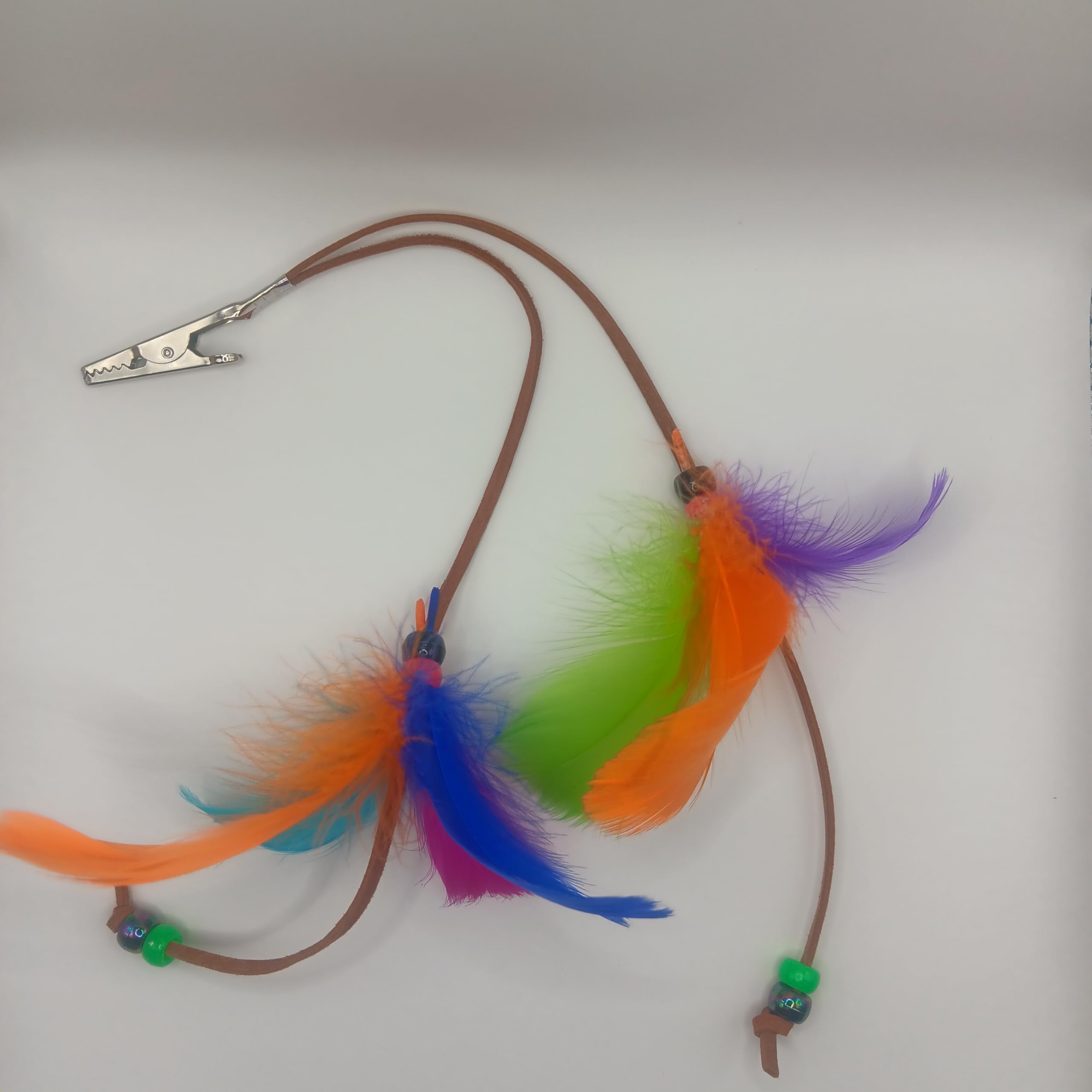 Amazon.com : Vintage Feather Hair Clips, Colorful Costume