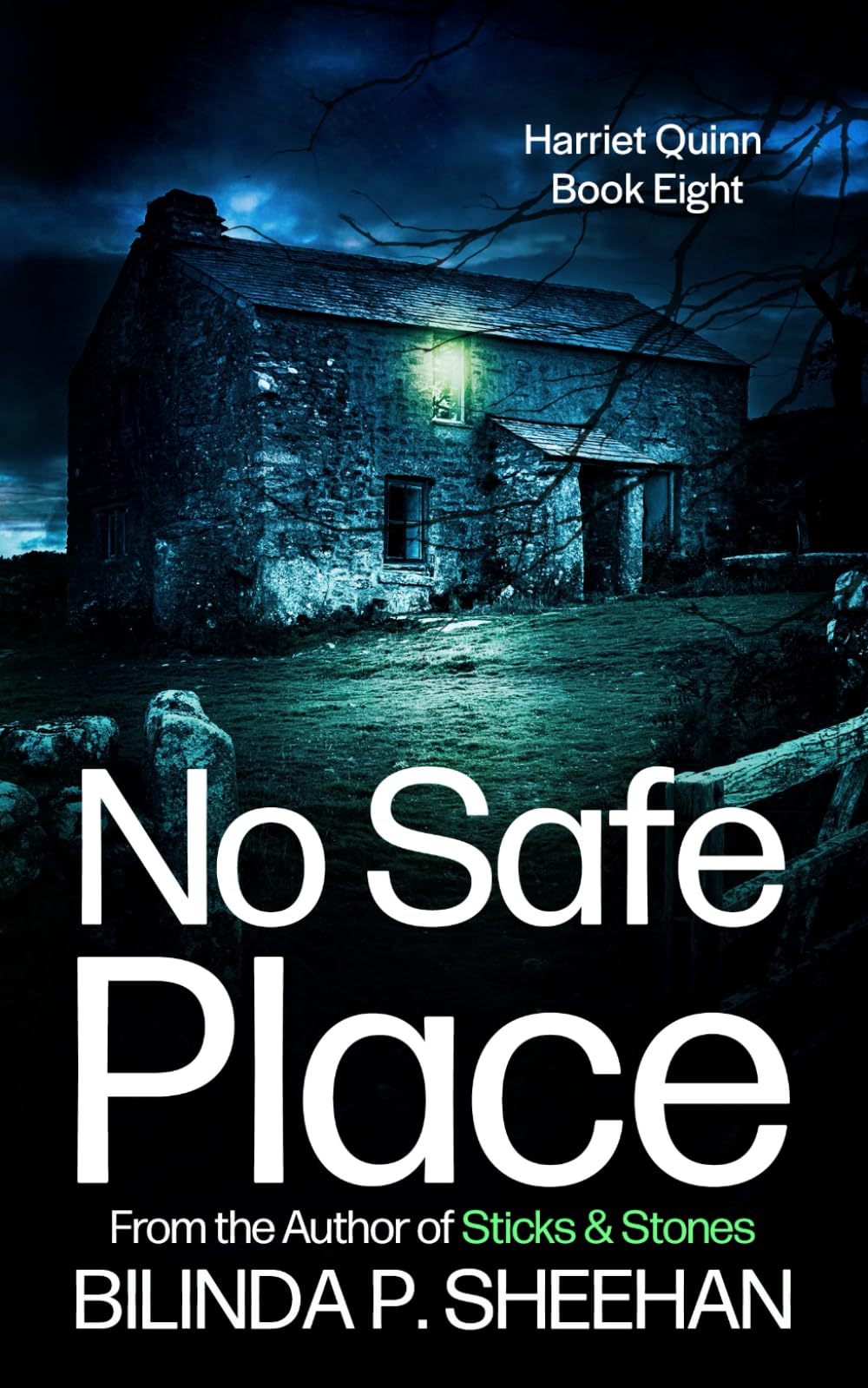 No Safe Place: The Dark Heart of Yorkshire (DI Haskell & Quinn Crime Thriller Series)