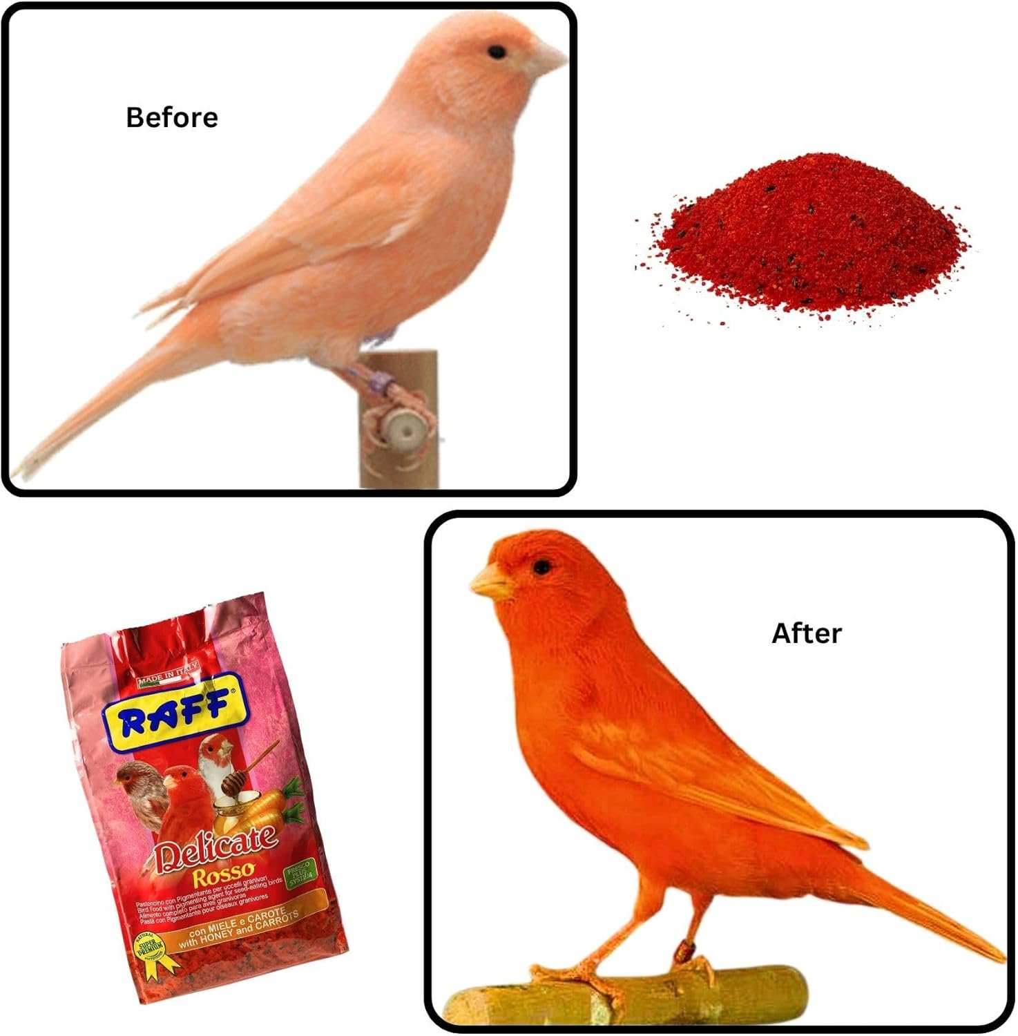 Raff Delicate Rosso 500g – Red Canary Food Enriched with Honey and Carrots – Specialized Red Factor Formula for Seed-Eating Birds Seeking Vibrant Plumage and Optimal Health