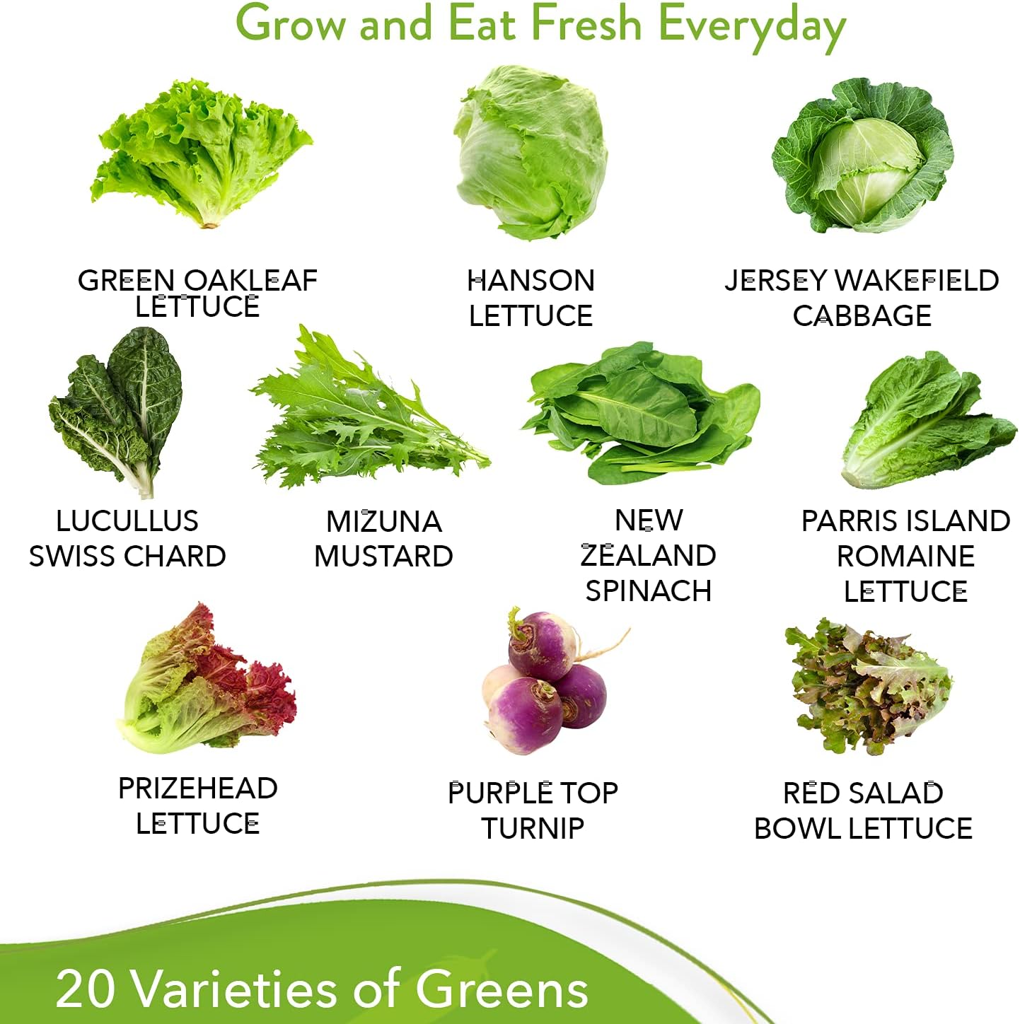 Lettuce and Greens Seed Vault - Non-GMO Seeds for Planting Indoor or Outdoor - Kale, Spinach, Butter, Oak, Romaine Bibb & More - Hydroponic Home Garden Seeds (20 Variety) : Patio, Lawn & Garden