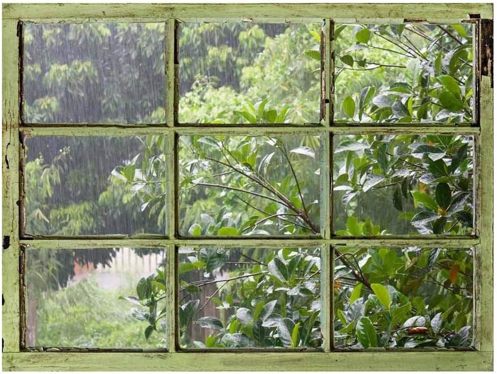 Window View Wall Mural It's Raining Outside Vintage Style Wall Decor Peel and Stick