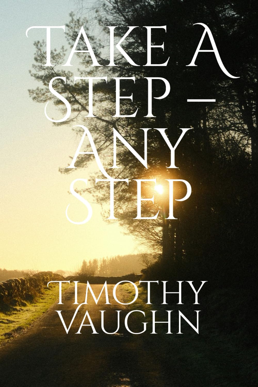 Take a Step – Any Step: Moving Forward on the Path to Recovery