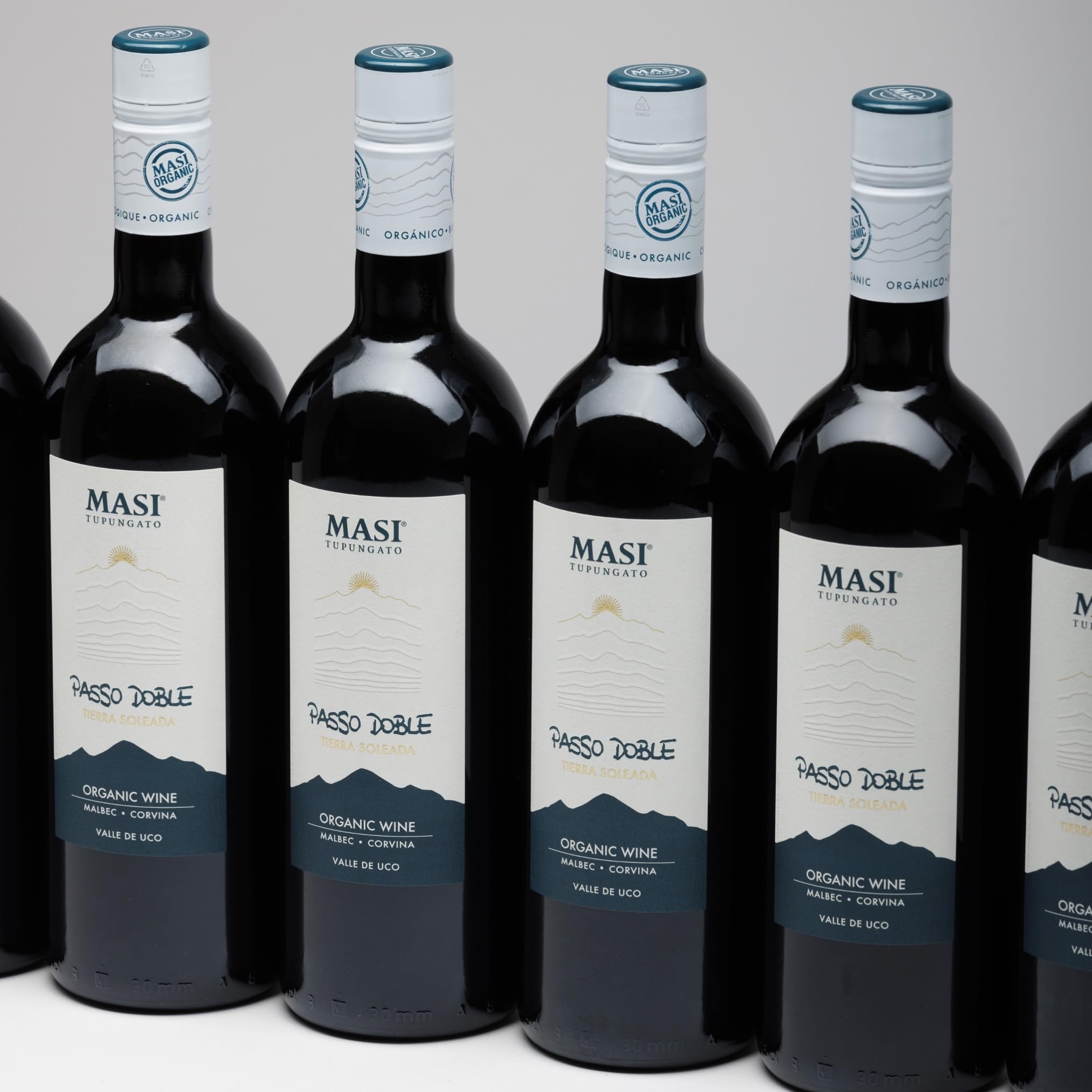 MASI Tupungato "PASSO DOBLE" 2023 | Vino Rosso di Argentina BIO | 6x750 ml | Appassimento Expertise | Confezione 6 bottiglie