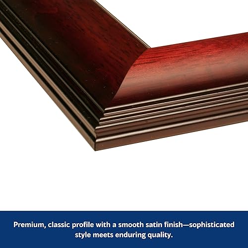 Miniatura 10 de NCAA - Marco para diploma Spirit.