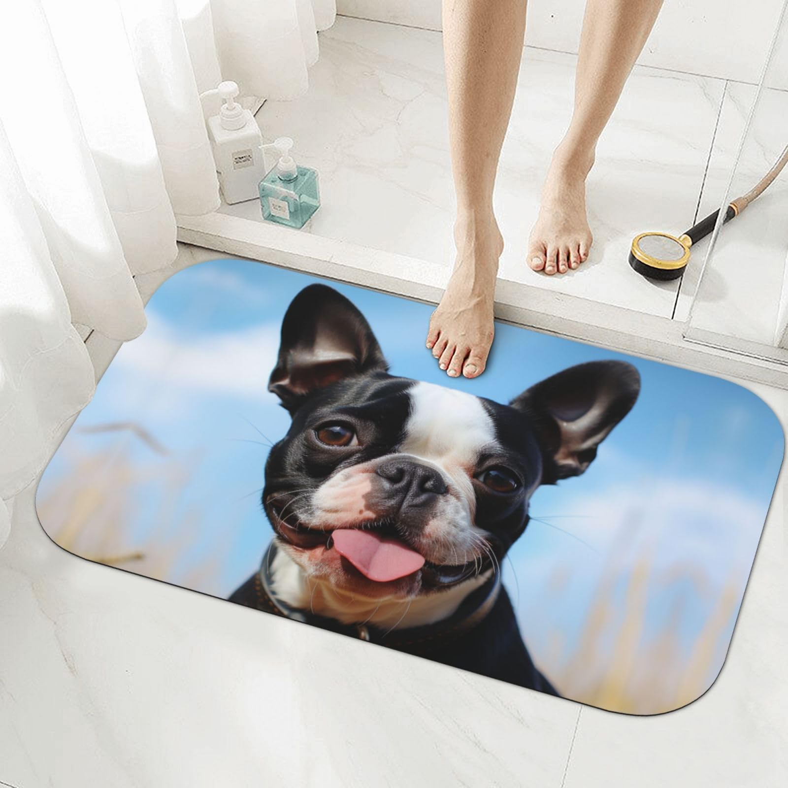 Tapis de bain en terre de diatomée absorbant Motif Boston Terrier pour douche 50x80cm